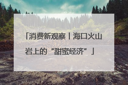 消费新观察丨海口火山岩上的“甜蜜经济”