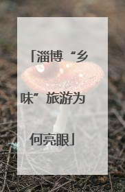 淄博“乡味”旅游为何亮眼