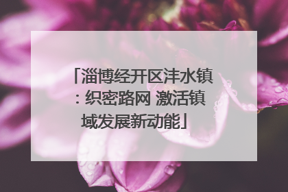 淄博经开区沣水镇：织密路网 激活镇域发展新动能