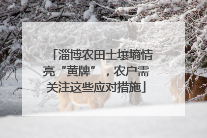 淄博农田土壤墒情亮“黄牌”，农户需关注这些应对措施
