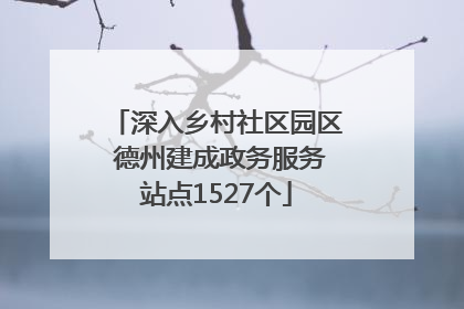 深入乡村社区园区 德州建成政务服务站点1527个
