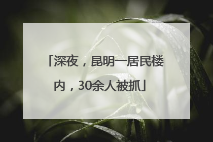 深夜，昆明一居民楼内，30余人被抓