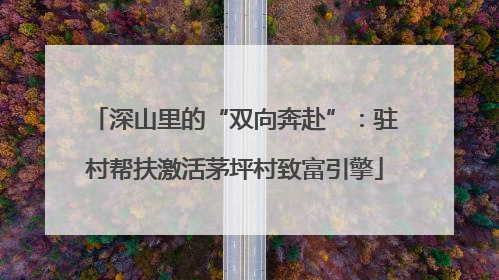 深山里的“双向奔赴”：驻村帮扶激活茅坪村致富引擎