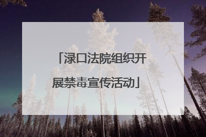 渌口法院组织开展禁毒宣传活动