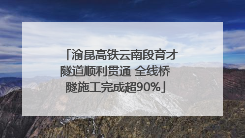 渝昆高铁云南段育才隧道顺利贯通 全线桥隧施工完成超90%