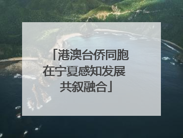 港澳台侨同胞在宁夏感知发展 共叙融合
