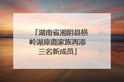 湖南省湘阴县横岭湖麋鹿家族再添三名新成员