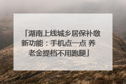 湖南上线城乡居保补缴新功能：手机点一点 养老金提档不用跑腿