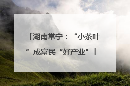 湖南常宁：“小茶叶”成富民“好产业”