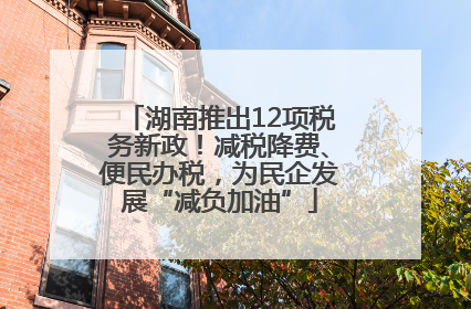 湖南推出12项税务新政！减税降费、便民办税，为民企发展“减负加油”