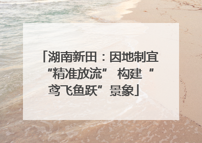 湖南新田：因地制宜“精准放流” 构建“鸢飞鱼跃”景象