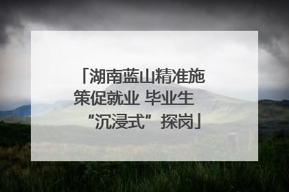 湖南蓝山精准施策促就业 毕业生“沉浸式”探岗