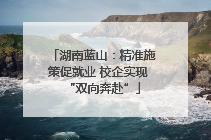 湖南蓝山：精准施策促就业 校企实现“双向奔赴”