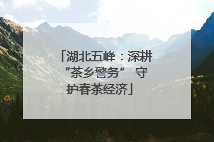 湖北五峰：深耕“茶乡警务” 守护春茶经济