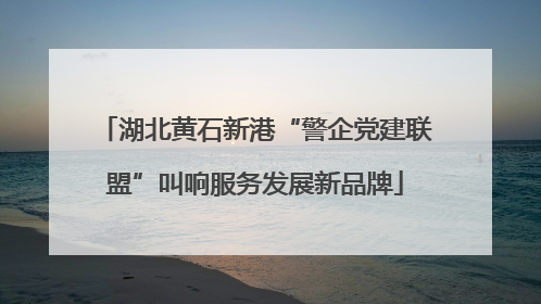 湖北黄石新港“警企党建联盟”叫响服务发展新品牌