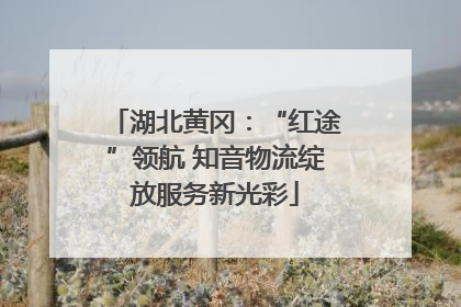 湖北黄冈：“红途”领航 知音物流绽放服务新光彩
