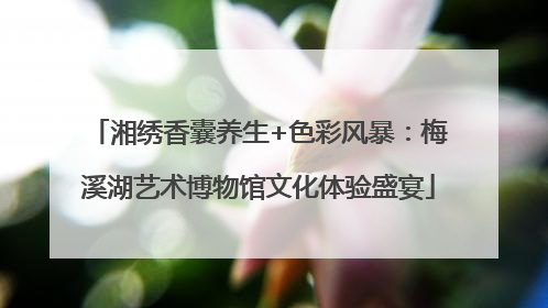 湘绣香囊养生+色彩风暴：梅溪湖艺术博物馆文化体验盛宴