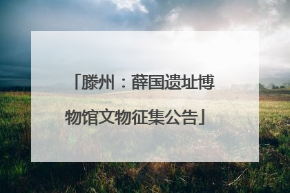 滕州：薛国遗址博物馆文物征集公告