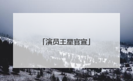 演员王星官宣
