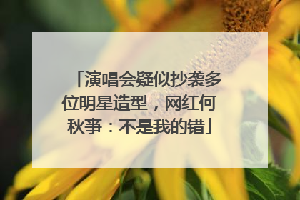 演唱会疑似抄袭多位明星造型，网红何秋亊：不是我的错