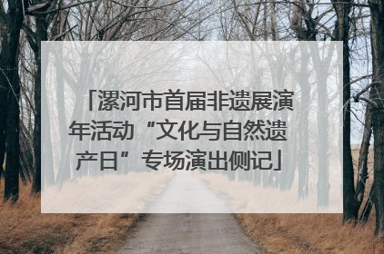 漯河市首届非遗展演年活动“文化与自然遗产日”专场演出侧记