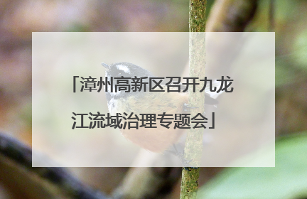 漳州高新区召开九龙江流域治理专题会