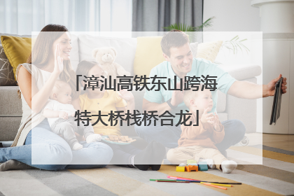 漳汕高铁东山跨海特大桥栈桥合龙