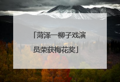 菏泽一柳子戏演员荣获梅花奖