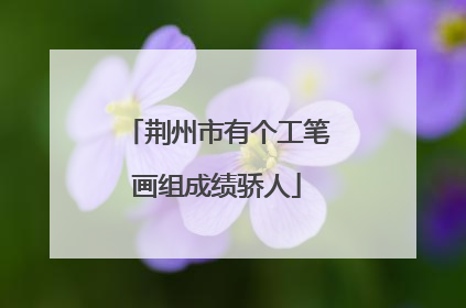 荆州市有个工笔画组成绩骄人