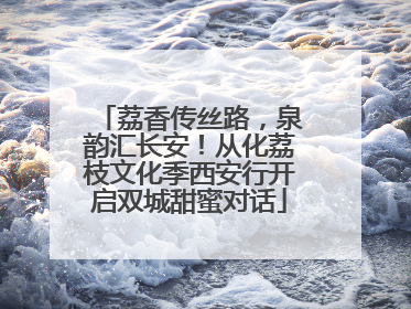 荔香传丝路，泉韵汇长安！从化荔枝文化季西安行开启双城甜蜜对话