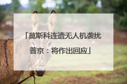 莫斯科连遭无人机袭扰 普京：将作出回应