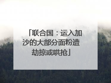 联合国：运入加沙的大部分面粉遭劫掠或哄抢