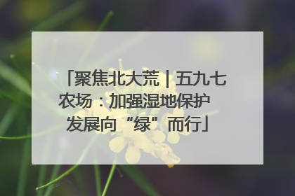 聚焦北大荒｜五九七农场：加强湿地保护 发展向“绿”而行