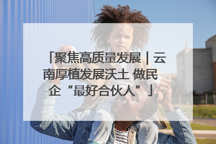 聚焦高质量发展｜云南厚植发展沃土 做民企“最好合伙人”
