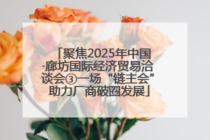 聚焦2025年中国·廊坊国际经济贸易洽谈会③一场“链主会” 助力厂商破圈发展