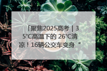 聚焦2025高考｜35℃高温下的 26℃清凉！16辆公交车变身“助考驿站”为高考护航