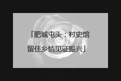 肥城屯头：村史馆留住乡情见证振兴