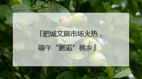 肥城文旅市场火热，端午“邂逅”桃乡
