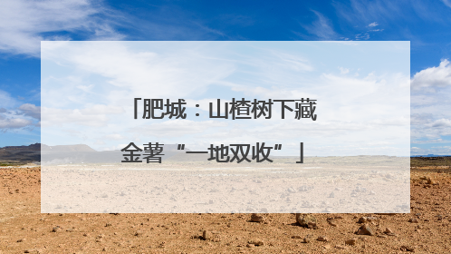肥城：山楂树下藏金薯“一地双收”