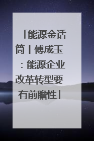 能源金话筒丨傅成玉：能源企业改革转型要有前瞻性