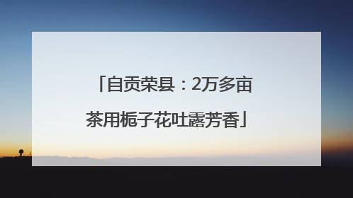 自贡荣县：2万多亩茶用栀子花吐露芳香