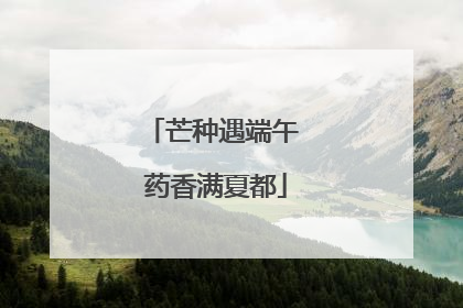 芒种遇端午 药香满夏都