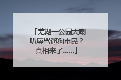 芜湖一公园大喇叭辱骂遛狗市民？真相来了……