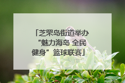 芝罘岛街道举办“魅力海岛 全民健身”篮球联赛