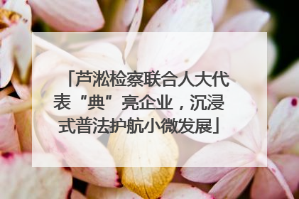 芦淞检察联合人大代表“典”亮企业，沉浸式普法护航小微发展