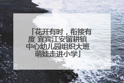 花开有时，衔接有度 宜宾江安留耕镇中心幼儿园组织大班萌娃走进小学