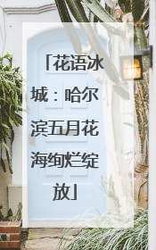 花语冰城：哈尔滨五月花海绚烂绽放