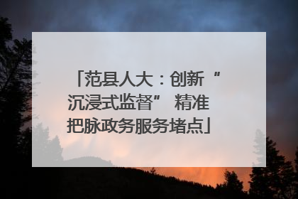 范县人大：创新“沉浸式监督” 精准把脉政务服务堵点