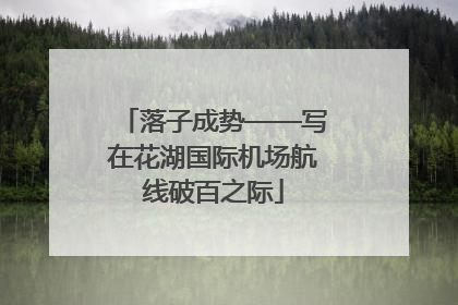 落子成势——写在花湖国际机场航线破百之际