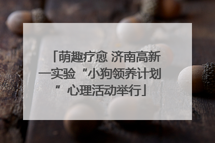 萌趣疗愈 济南高新一实验“小狗领养计划”心理活动举行